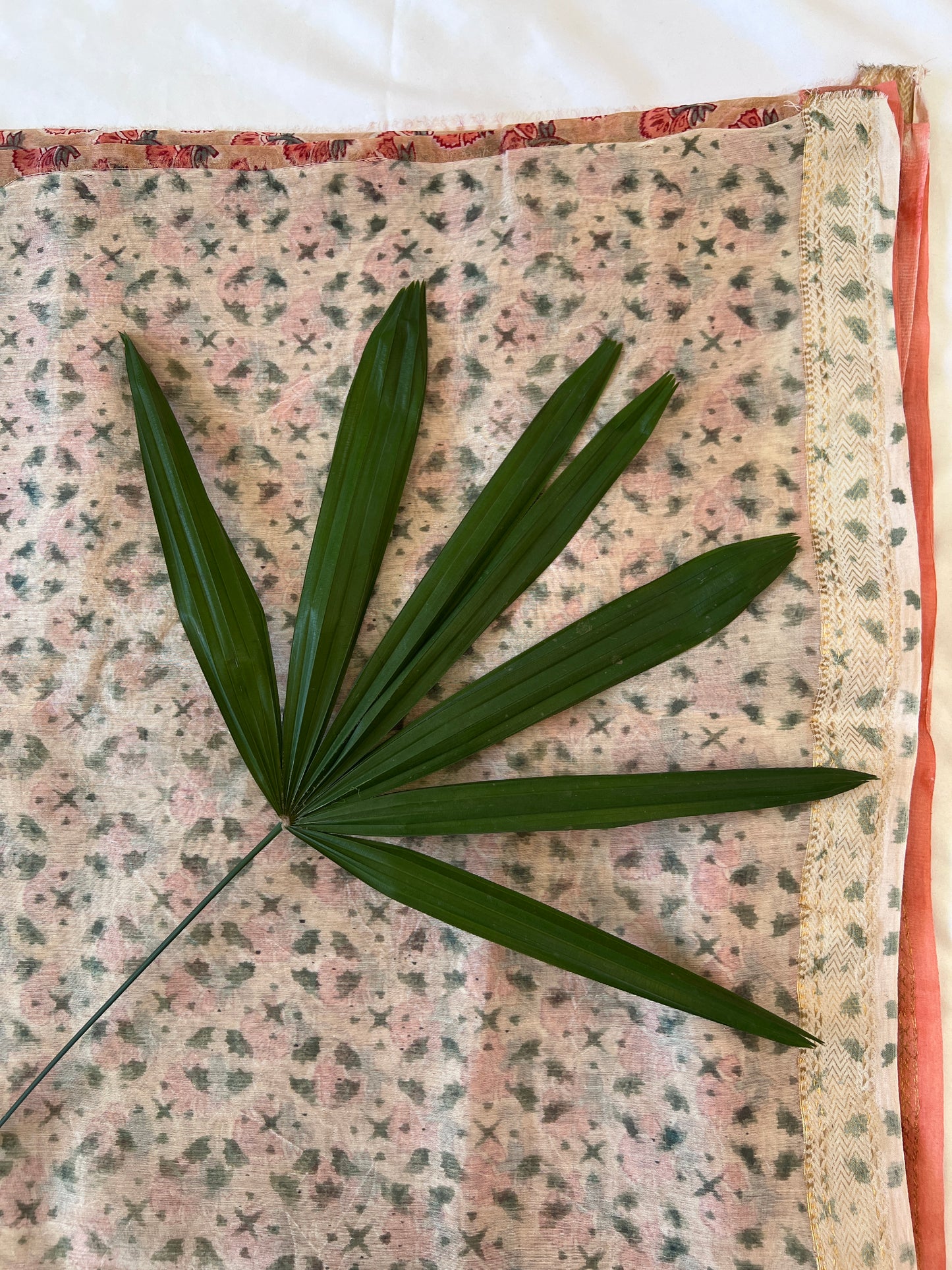 Beige and Peach Orange Maheshwari Cotton Silk Saree