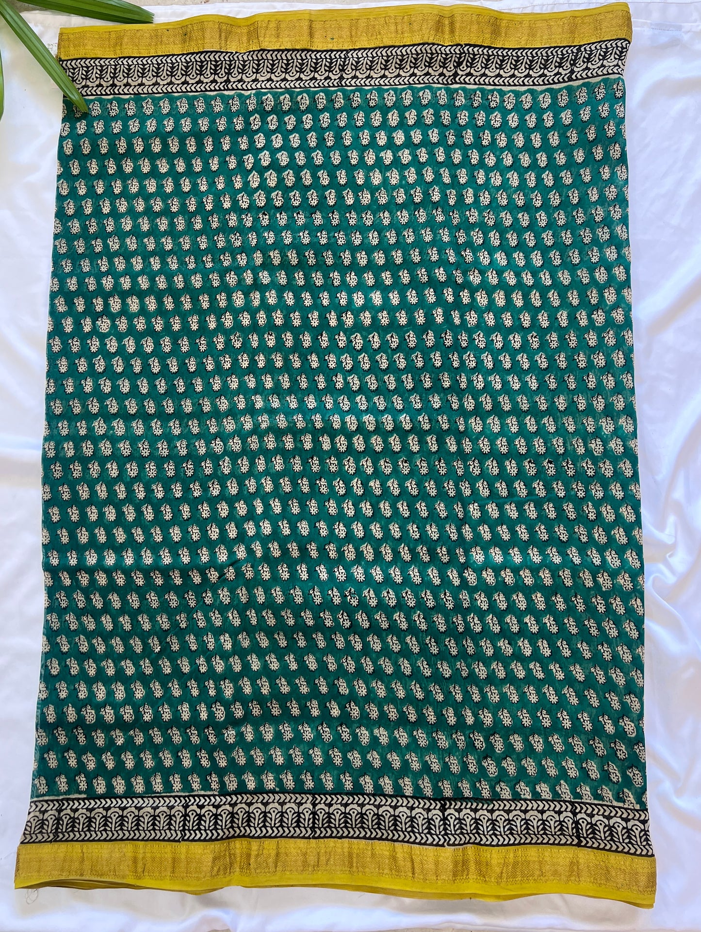 Forest Green & Citrine Yellow Maheshwari Cotton Silk Saree