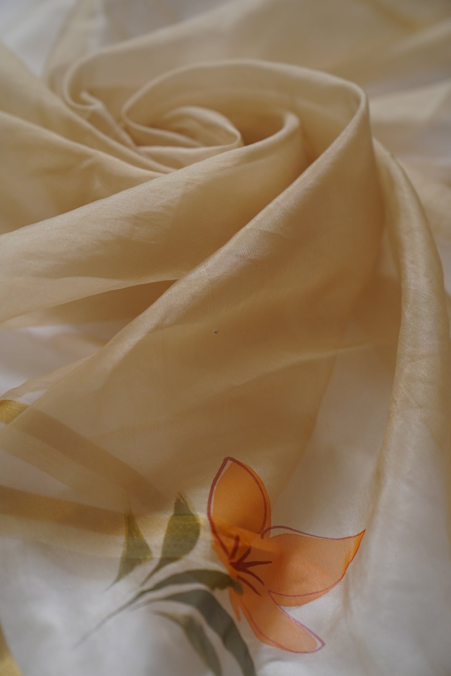 Beige Organza Hand painted Saree